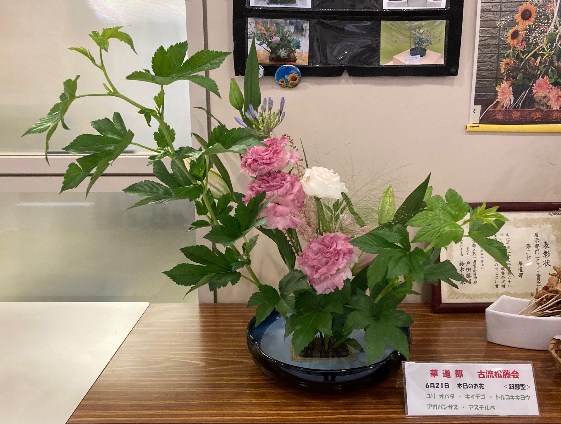 IMG_2725 (1)